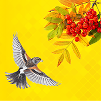 8 октября состоялся Единый семинар 1С