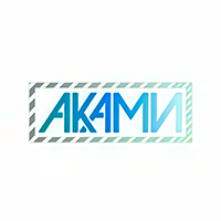 Проект по автоматизации учета и торговых процессов в ООО "ТПК АКАМИ" на базе "1С:Управление нашей фирмой"